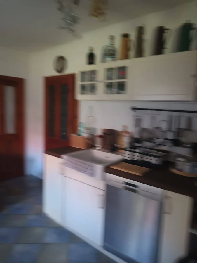 Dvougenerační RD s nájemcem, Toušice 20
