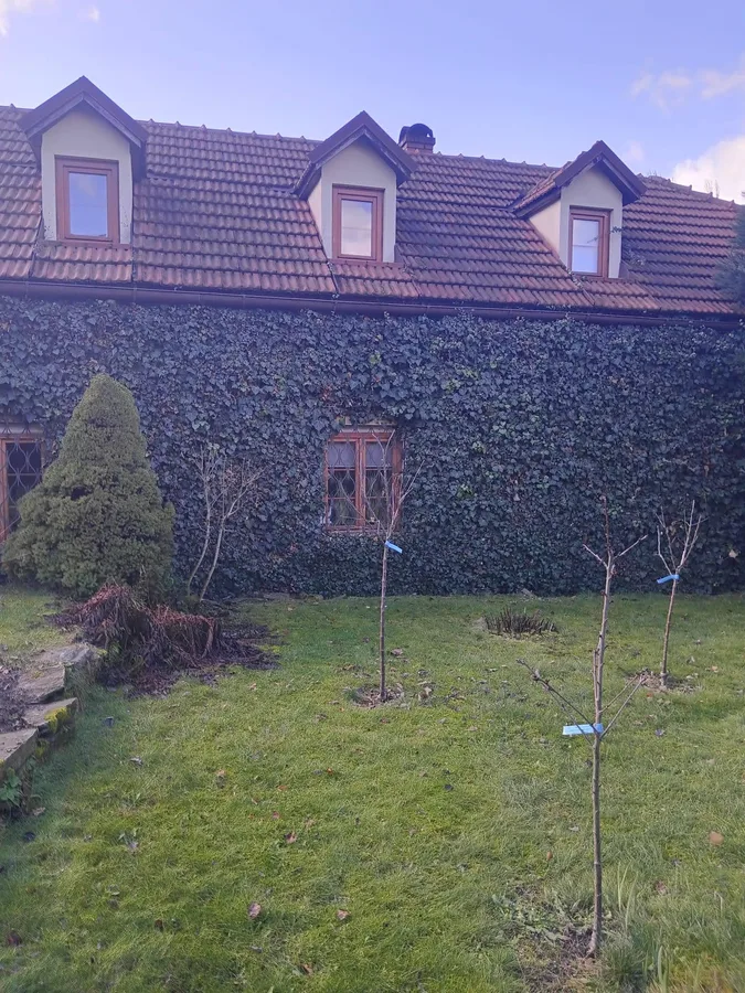 Dvougenerační RD s nájemcem, Toušice 25